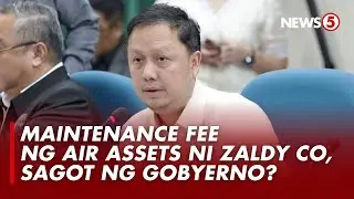 Maintenance ng air assets ni Zaldy Co, ginagastusan ng gobyerno &mdash; ICI