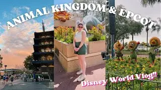 DISNEY WORLD VLOG 2022 | EPCOT + ANIMAL KINGDOM