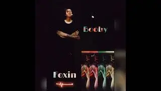 Deciver Booby&foxin