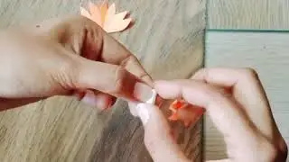 Flower case💐 with water  bottle