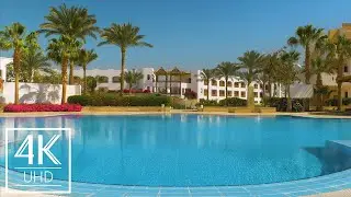 4K TV Screensaver with Birds' Chirping and Water Sounds - 8HRS Relaxing Atmosphere of a Luxury Hotel