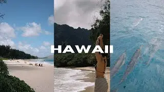 HAWAII/ ми на островах Oahu та Kauai / політ на гелікоптері / дельфіни та неймовірної краси пляжі.