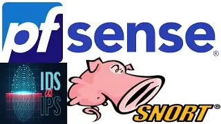 Как настроить собственную IDS/IPS в PfSense с помощью Snort