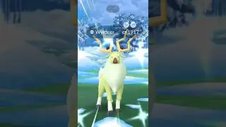 Exclusive Shiny catch from raid hour #shorts #wyrdeer #shiny #catch #raidhour #ultragoo #pokemon #