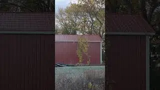 Partially Insulated Barn #barn #farming #farm #building #construction #atticventilation #insulation