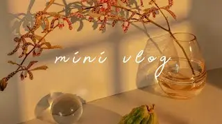 mini aesthetic vlog! 🍂✨ // 내 인생의 하루