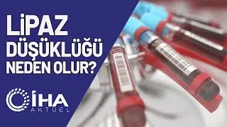 Lipaz D&uuml;ş&uuml;kl&uuml;ğ&uuml; Neden Olur