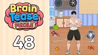 Brain Tease Puzzle Level 48