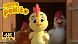 Run, little chick - Arkoiris children's songs