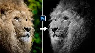 How to Select Fur or Hair in Photoshop | Photoshop Tutorial