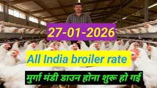 27-01-2026 boiler farm rate boiler rate murga mandi rate today poultry rate 