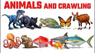 Meet the Dinosaurs | Herbivores and Carnivores 🦖Tiger shark, Giant trevally, Cephalaspis, Anglerfish