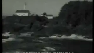 Tarpeellista Tavaraa traileri