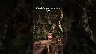 I LOVE RAINFOREST CAFE