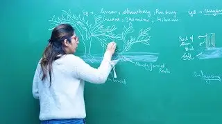 How do Organisms Reproduce? | Biology | CBSE Class 10th Video Lecture | Misostudy