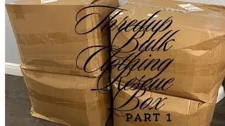 Thredup Bulk Clothing Rescue Box Part 1