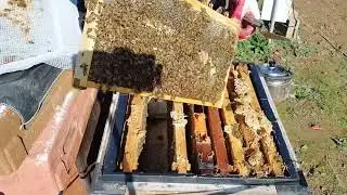 10월 말 보온해체 합니다.