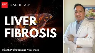 Is liver fibrosis curable? From Fatty Liver to Liver Fibrosis to Cirrhosis