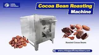 Rotary Drum Type Coffee and Cocoa Roaster|100 KG Gas Electric Heating Cocoa Bean Roaster Machine
