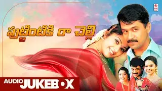 Puttintiki Raa Chelli Audio Songs Jukebox | Arjun, Meena | S. A. Rajkumar | Telugu Old Hit Songs
