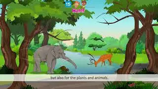 Wonder Environmental Studies &mdash; Class 4 &mdash; Water | Doublew Education