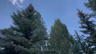 RV Spot at Tiger Run Breckenridge, Colorado 