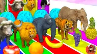 animal crossing fountain animals for kids fountain crossing animals transformation video?2023