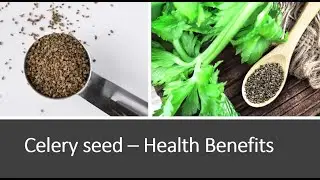 Celery Seed Health Benefits