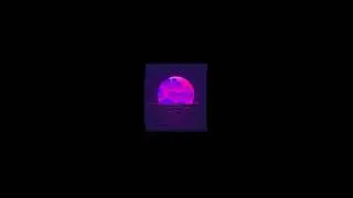 |FREE| King Roker x Brray type beat 
