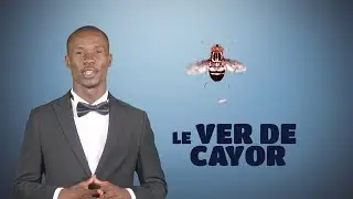 2 mn pour comprendre 