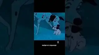 Сейчас такая погода 😁 #share #me #love #fun #shortsfeed #smile #shortvideo #podcast #юмор #dogs