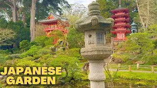 Peaceful Walk Through San Francisco's Japanese Tea Garden [4K]