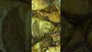 Mirga mas baji | Mirga fish baja