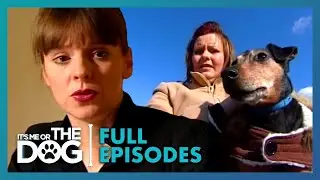 Why You Shouldn't Treat Your Dog Like a Human Baby | Season 3 Episode 6 | It's Me Or The Dog UK