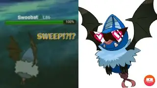 Epic Swoobat Sweep!?!? Pok&eacute;mon Showdown Random Battles
