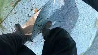 POOL REMOVAL 💥🤯💧