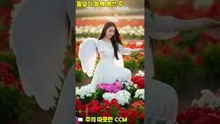 주의 따뜻한 CCM #CCM#따뜻한 음악