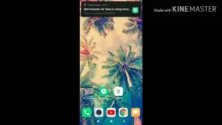 BUG VIVO H+ 3G/4G 2020