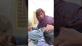 Samajh Daar Murga🤣😂|#funny #shorts #youtubeshorts #trending #shortvideo #comedy