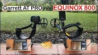 👀PROBANDO ORO CON 👨‍🦯EQUINOX 800 Y GARRETT AT PRO👨‍🦯