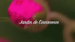 &Eacute;mission : Parole De Vie -Vendredi 01/01/2026