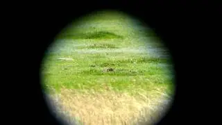 Prairie Dogs in Outer Space, Double tap.avi