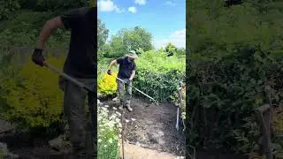 Reclaim Your Garden: Digging Out That Monster Shrub!