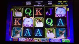 IGT Kitty Glitter Slot: Free Games Bonus Max Bet