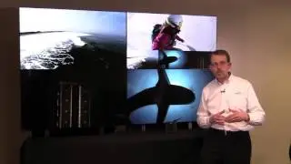 HARMAN Professional Presents Its Complete Networked AV Solution to Support Every Need