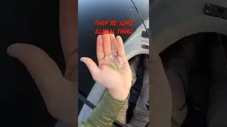 The MINI-MITE 🎣
