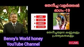 തേനീച്ച വളർത്തൽ ഭാഗം - 19 തേനീച്ചയുടെ കണ്ണുകളും പ്രത്യേകതകളും