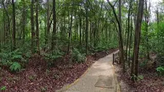360 View Walking from Zen Pool to Main Resort Clubmed Cherating Pahang, Malaysia