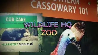 호주 선샤인코스트 동물원 Wildlife HQ ZOO サンシャインコーストの動物園 Australia