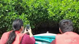 Pichavaram boat ride
